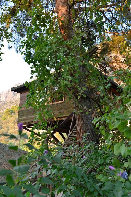 Hotel Gorge Club Saklikent Pokój zdjęcie
